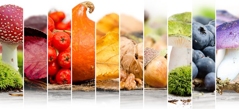 Universidade Lusofona Jornadas Nutriçao